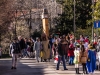 carnevale-2013-033
