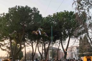 Carnevale2017-5