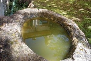 Riflessi