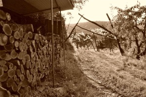 in-campagna