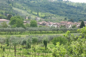 nicolo1