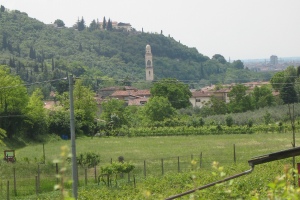 nicolo2