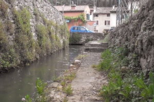 lori-2