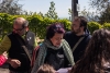 FestaMontecchio2016-39