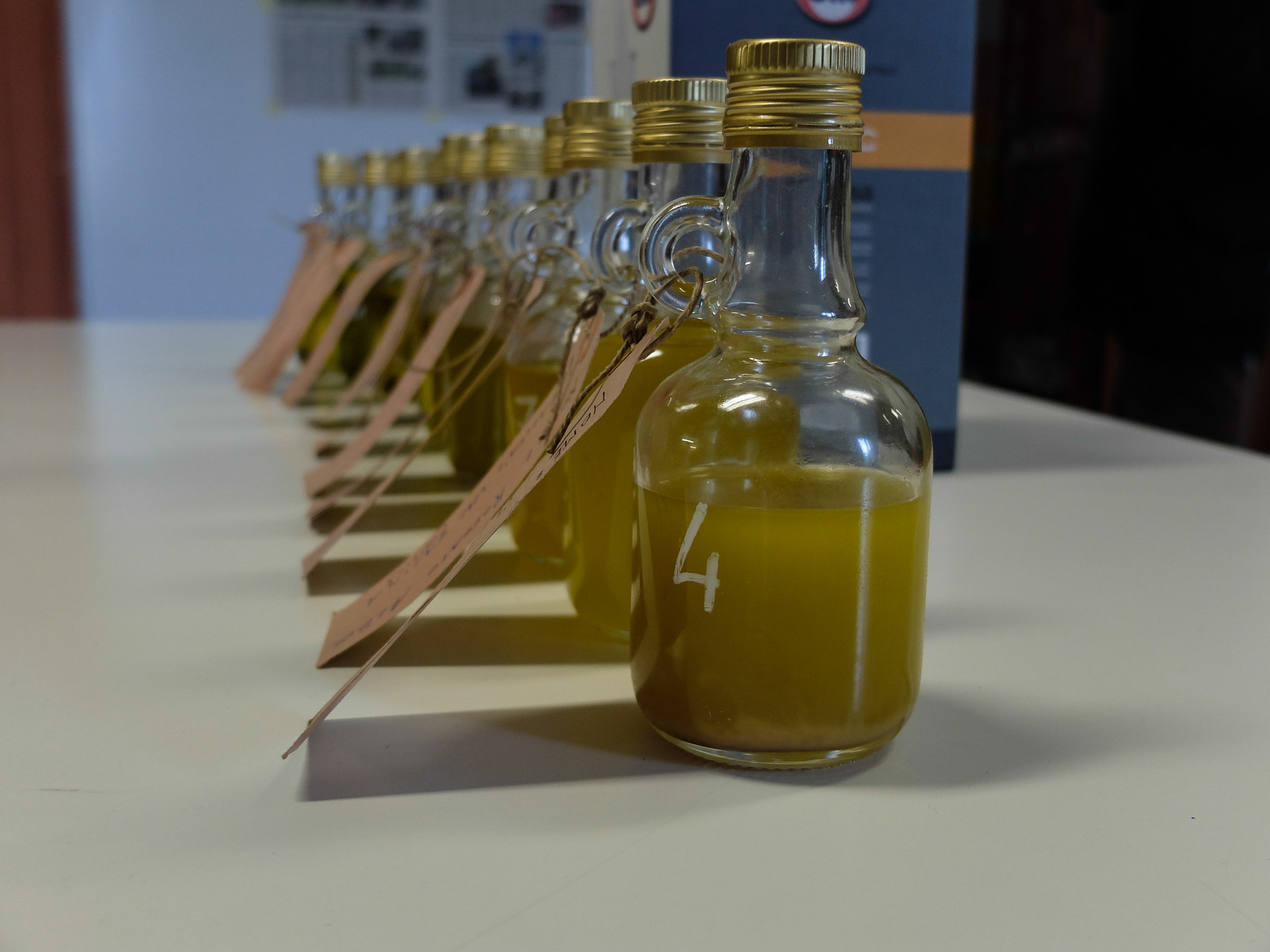 PalioOlio2018-11