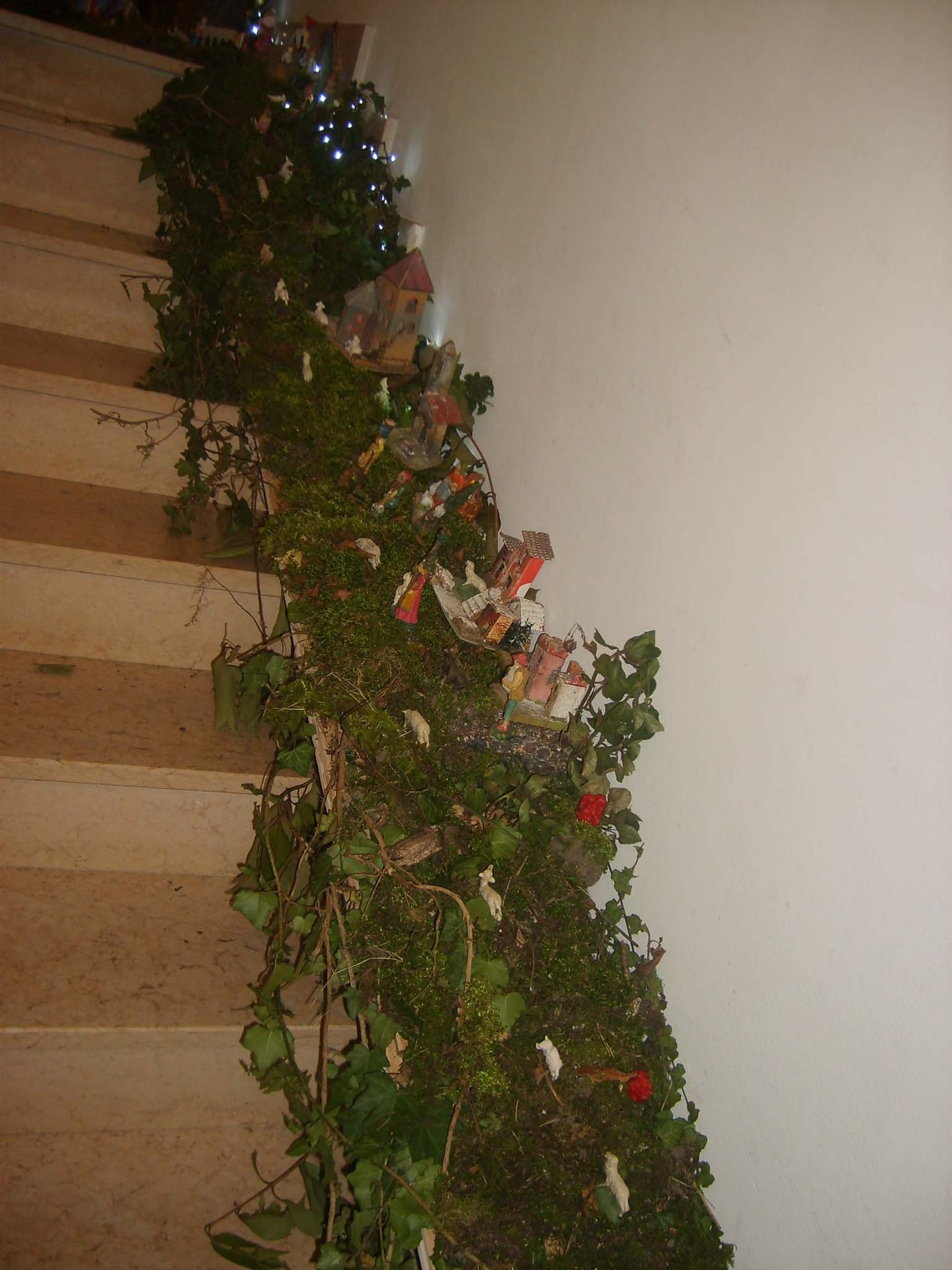 Trevisan Angiola